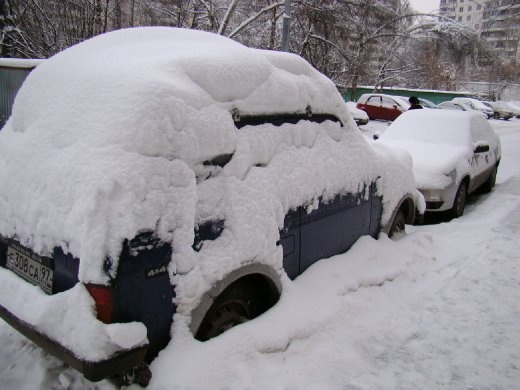 All the cars in the street were covered in snow