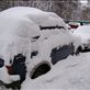 All the cars in the street were covered in snow Views[178]