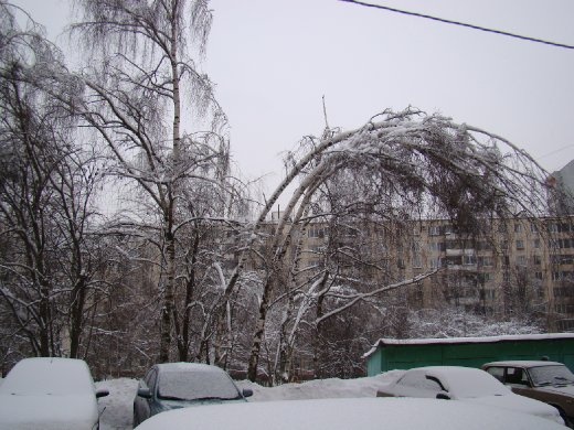 New layer of snow covering everything