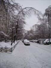My snow covered street!!: by treefrog, Views[228]