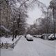 My snow covered street!! Views[245]