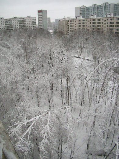 Snow covered park in Moscow!!