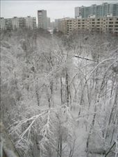 Snow covered park in Moscow!!: by treefrog, Views[146]