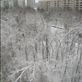 Snow covered park in Moscow!! Views[153]