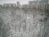 View from my window of the snow covered park: by treefrog, Views[143]