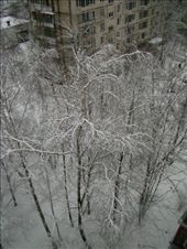 by treefrog, Views[118]