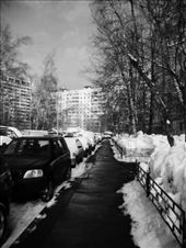 The ice covered sidewalk outside my apartment block: by treefrog, Views[2127]