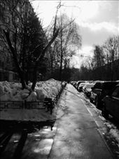 The sidewalks are covered in ice and snow: by treefrog, Views[146]