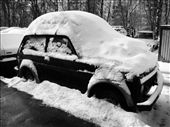 A thick new layer of snow covers everything: by treefrog, Views[121]