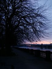 Walking along the Moscow River: by treefrog, Views[274]