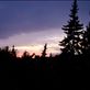 Gorky Park at sunset Views[157]