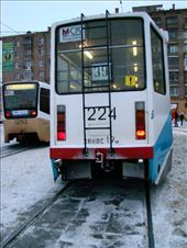 by treefrog, Views[319]