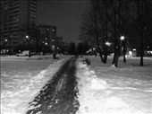 Snow covered Moscow at night: by treefrog, Views[245]