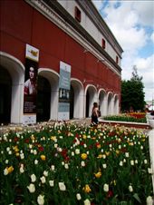 Spring is all over the city!!: by treefrog, Views[267]