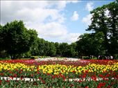 The flower filled park just across Love Bridge: by treefrog, Views[384]