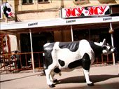 MY MY (Moo Moo) a Russian canteen restaurant: by treefrog, Views[786]