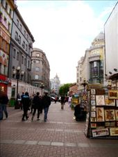 Definitely my favourite street to walk down on a sunny day: by treefrog, Views[196]