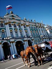 You can go on a horse carriage ride in the square in front of the Hermitage: by treefrog, Views[391]