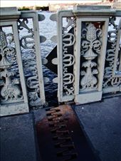 by treefrog, Views[130]