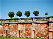 The walls surrounding the gardens: by treefrog, Views[120]