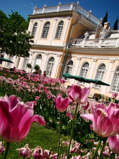 The palace gardens are filled with colourful Tulips