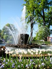 I could spend all day in this peaceful garden: by treefrog, Views[179]