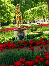 I think these fountain covered gardens are stunning in the summer!!: by treefrog, Views[202]