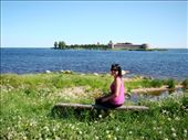 Surrounded by wild flowers with the Fortress in the background: by treefrog, Views[187]