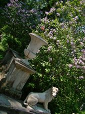 by treefrog, Views[151]