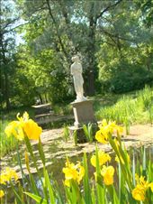 by treefrog, Views[1739]