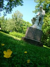 by treefrog, Views[139]