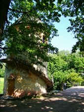 by treefrog, Views[152]