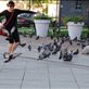 Me chasing pigeons in front of the Cathedral Views[113]