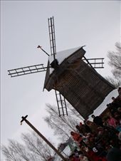 One of the windmills in the town centre: by treefrog, Views[359]