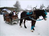 You could go on horse carriage rides through the town: by treefrog, Views[3070]