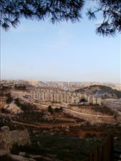 by treefrog, Views[289]