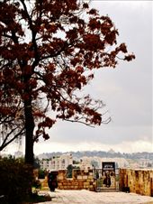 Just before entering the Old City: by treefrog, Views[204]