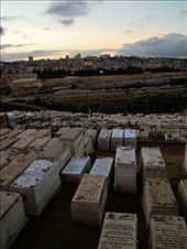 Graves fill the side of the hill right next to the city: by treefrog, Views[126]