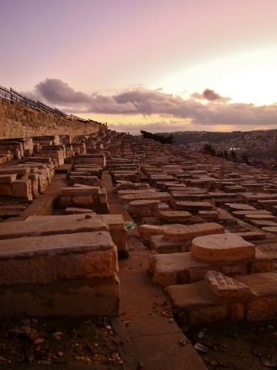 Graves fill the side of the hill right next to the city