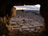 Graves fill the side of the hill right next to the city: by treefrog, Views[116]