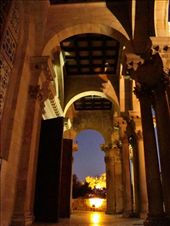 The Church in the Garden of Gethsemane,: by treefrog, Views[98]