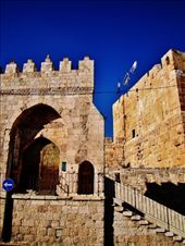 Entrance to the Tower of David Museum: by treefrog, Views[149]