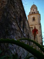 The Bell Tower of the Domica Cathedral: by treefrog, Views[1368]