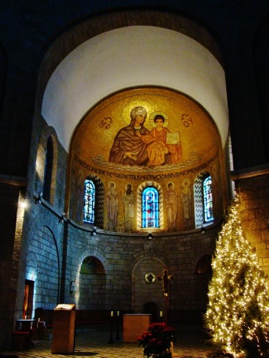 Inside the Domica Cathedral