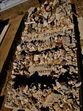 by treefrog, Views[150]