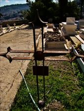 by treefrog, Views[118]