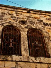 by treefrog, Views[122]