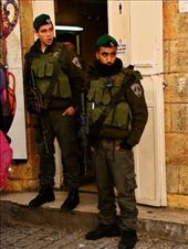 by treefrog, Views[156]