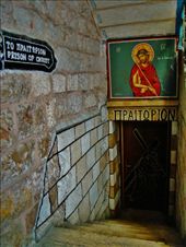 by treefrog, Views[144]