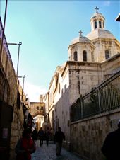 by treefrog, Views[147]